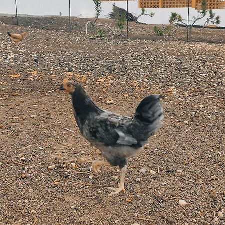 Fuerteventura Casa Tikuna Ла-Оліва Екстер'єр фото