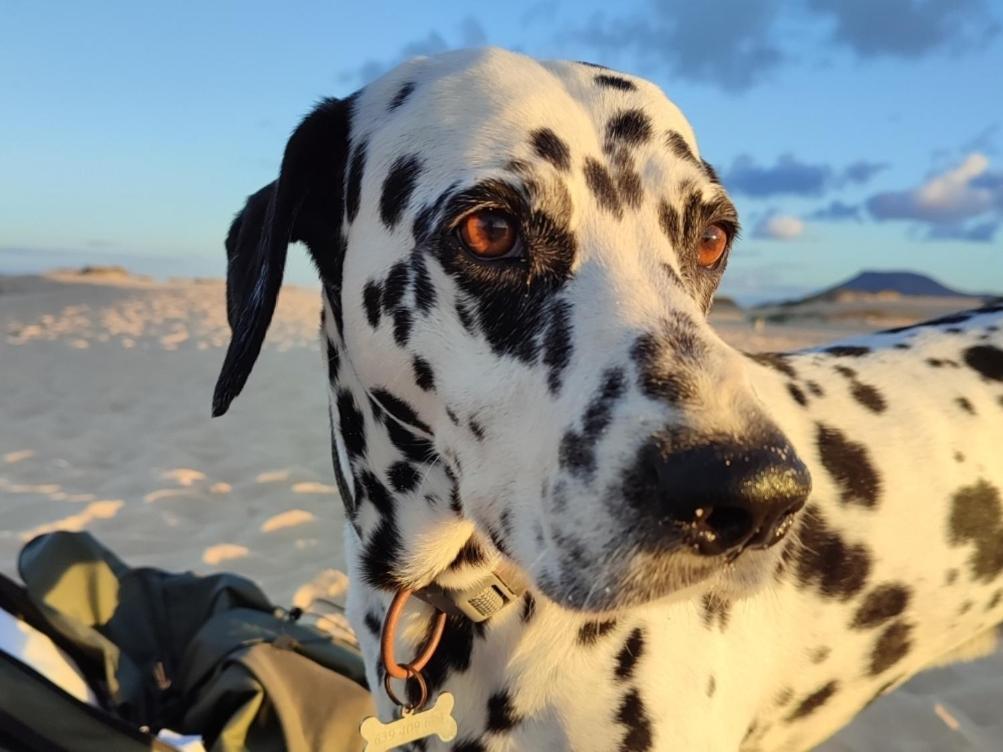 Fuerteventura Casa Tikuna Ла-Оліва Екстер'єр фото